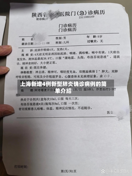 上海新增4例新型肺炎确诊病例的简单介绍-第2张图片